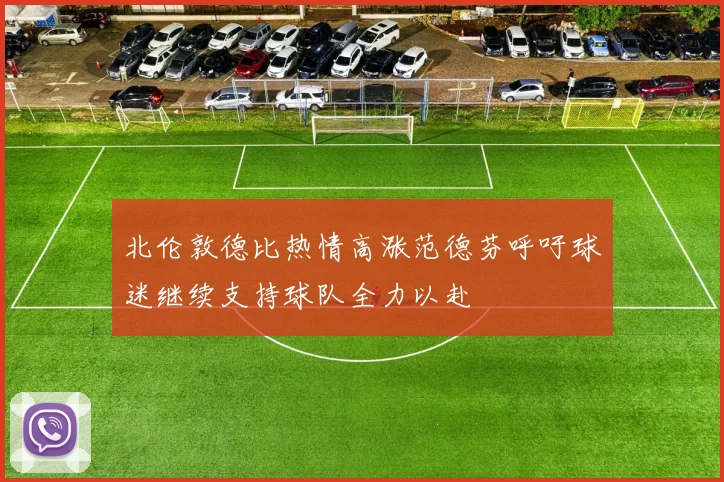 北伦敦德比热情高涨范德芬呼吁球迷继续支持球队全力以赴