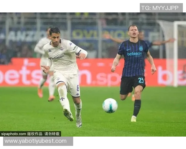 国米旧将范赫斯登因膝盖韧带重伤宣布退役年仅26岁